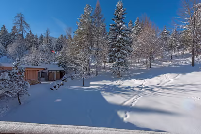 Ausblick Haus Wildsee
