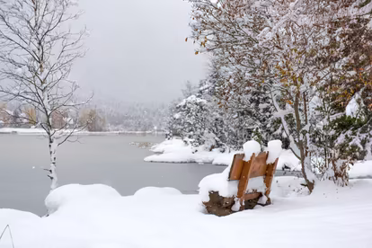 Winter am Wildsee