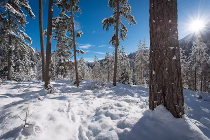 Winter in Seefeld