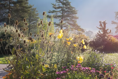 Garten Haus Wildsee