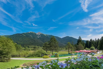 Ausblick Haus Wildsee