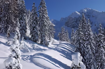 Rosshütte Winterlandschaft © Region Seefeld 