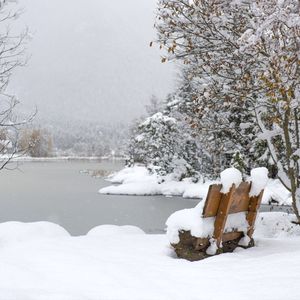 Schneefall im November am Seefelder Wildsee