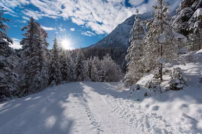 Winterparadies Seefeld