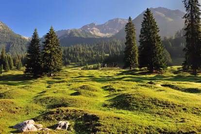 Gaistalalm © Region Seefeld 